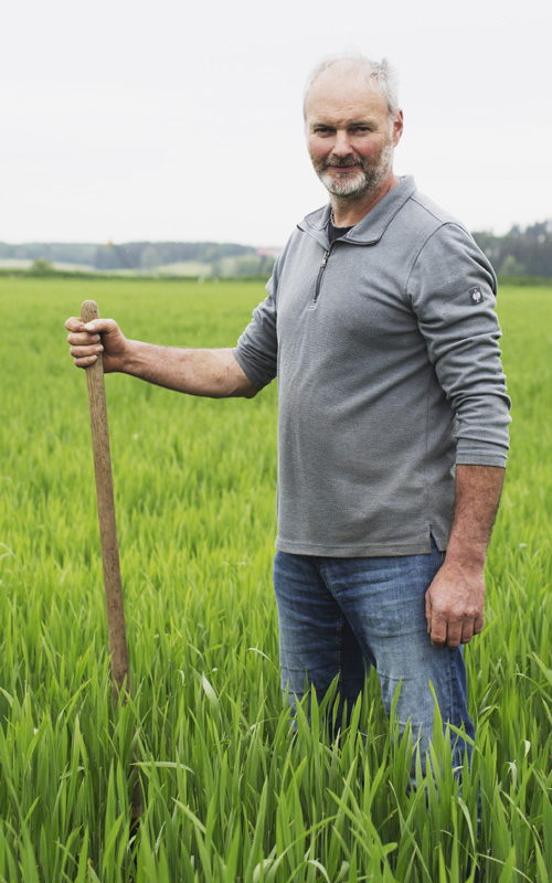 Allgäuer Landsorten - Michael Koenigsberger Landwirt-auf dem Feld