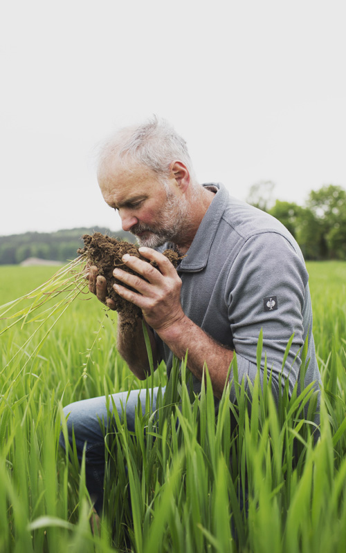 Öko-Modellregion – Michael Koenigsberger - Landwirt riecht an Jungpflanze auf dem Feld